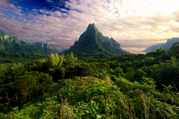 CRUCEROS POLINESIA MOOREA CRUCEROS ISLAS DEL PACIFICO SUR CRUCEROS PLAYAS PARADISIACAS BODAS DE PLATA LUNAS DE MIEL CRUCEROS VIAJE DE NOVIOS CRUCEROS DE LUJO CRUCEROS LUNAS DE MIEL VELVEDERE POLINESIA